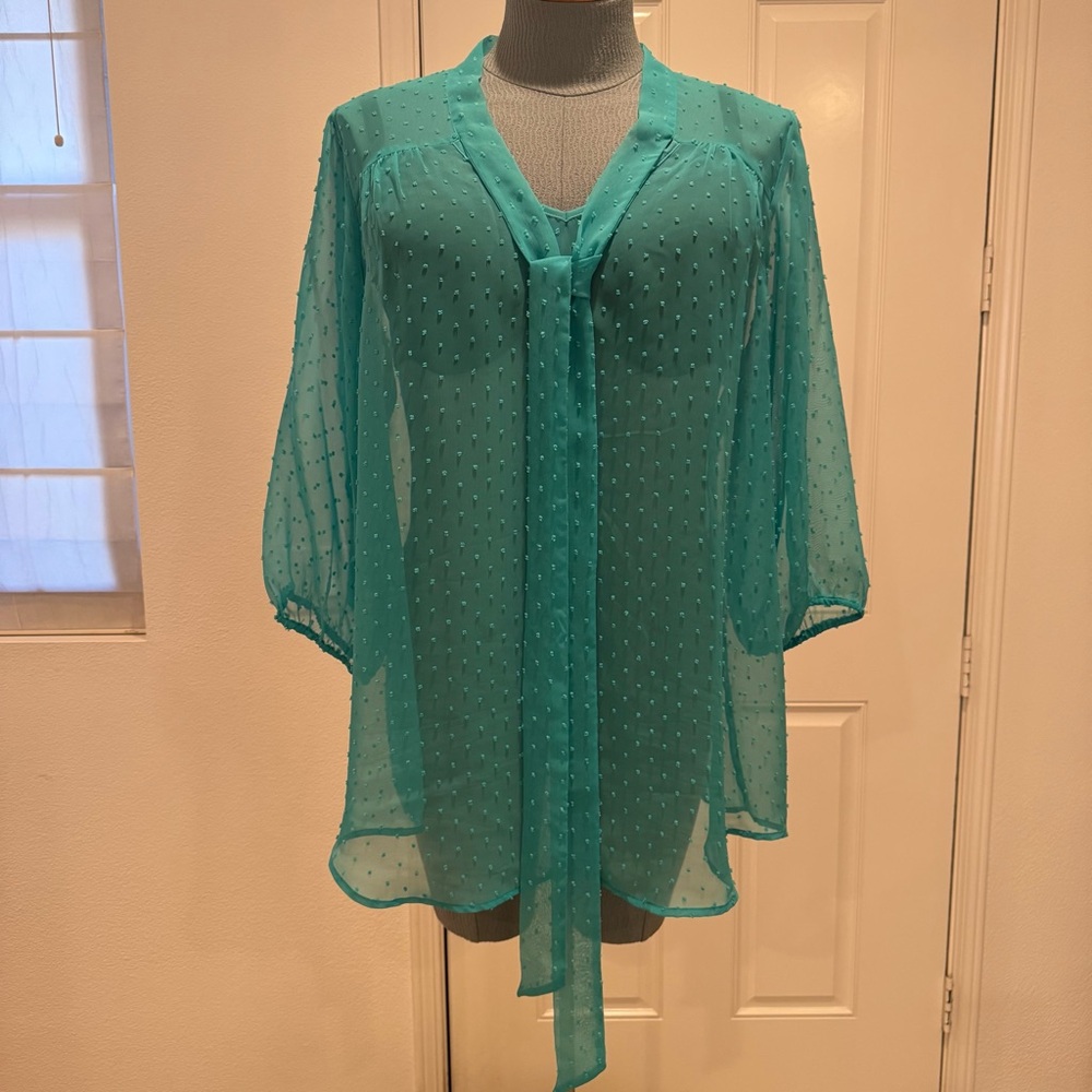 Sheer Blouse Top Approximately 3X by Black Rainn Teal Swiss Dots